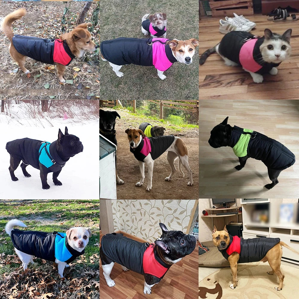 Pet Dog Jacket Warm Winter Clothes For Small Large Dogs Labrador