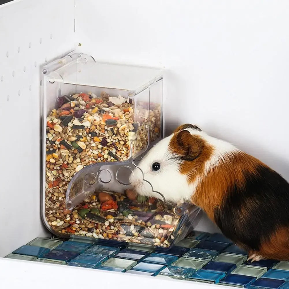 Pet Hamster Rabbit Squirrel Food Dispenser Feeder Plastic Clear Automatic Pet Feeder for Hamster Guinea Pigs Food Bowl Container