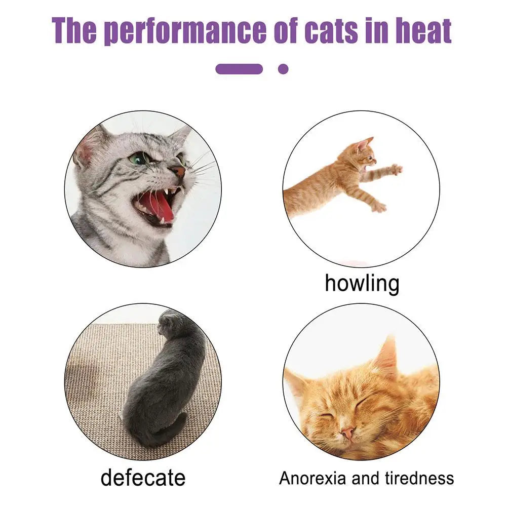 Pet Calming Spray Pet Supplies Pets Pheromone Calming Spray Improve Estrus Agitation