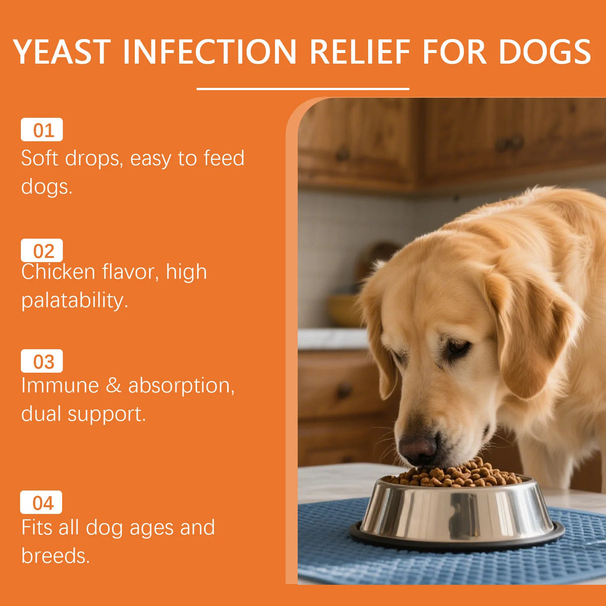 Kriath Dog Supplement Drops Promote Nutrient Absorption Improve Immune