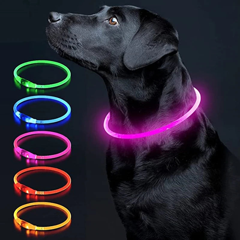 Luminous Dog Collar Light Charge Cat Necklace, Led Fashion Flashing DIY