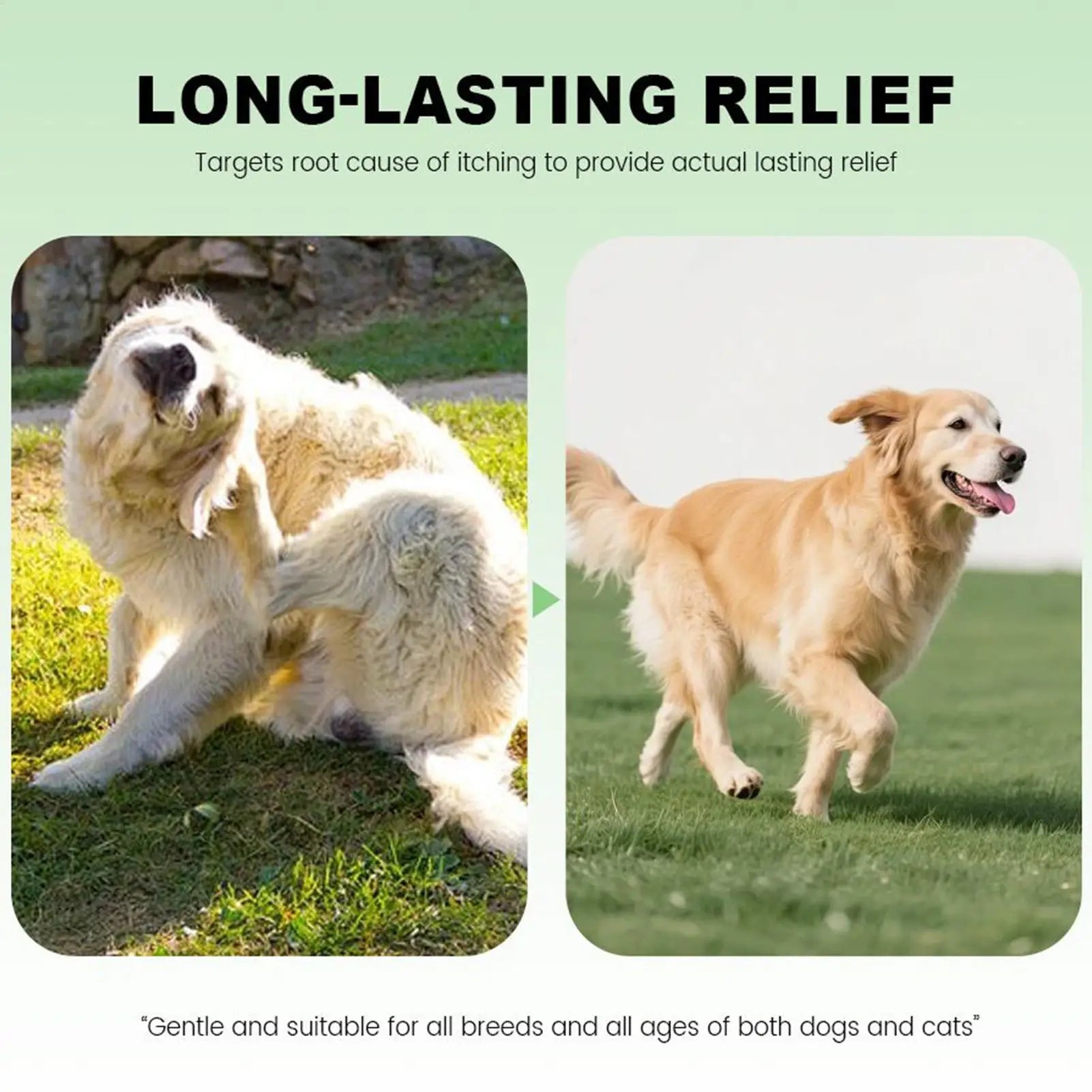 60ml Dog Itch Relief Spray Natural Soothing Oil Anti Itch for Small Large Breeds