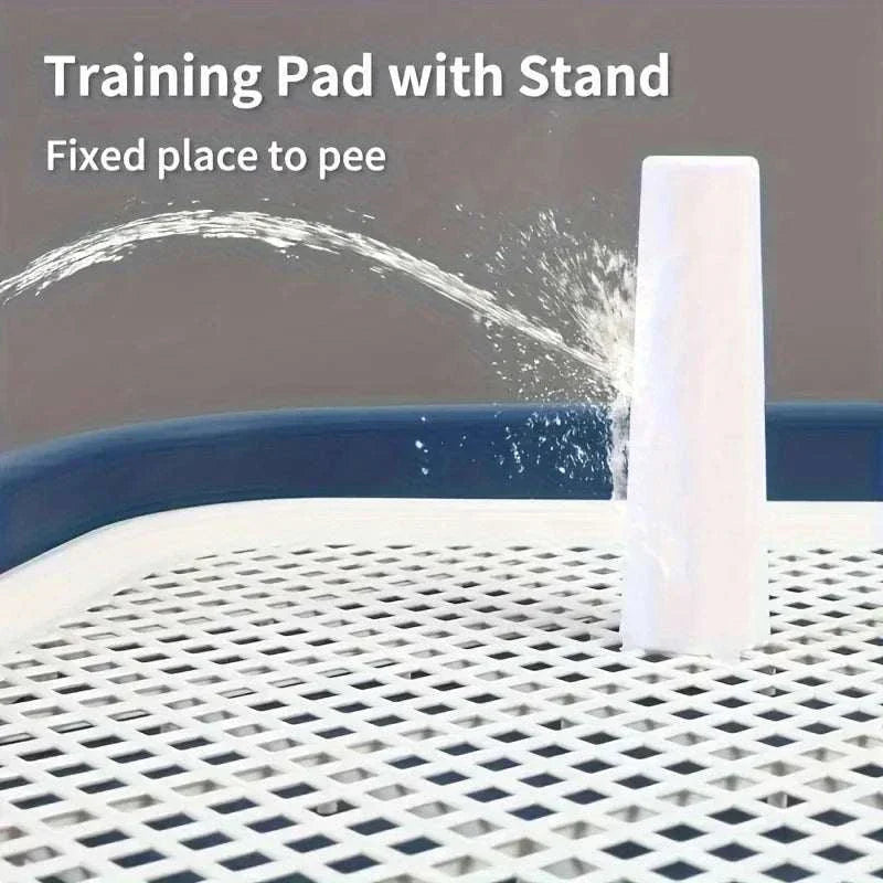 dog potty training