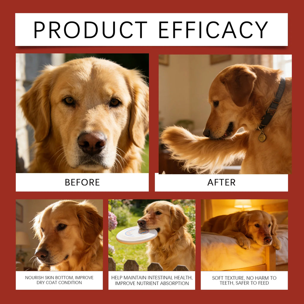 Kriath Beef Flavor Dog Nutrition Chews Improve Pet Vitality Balance Intestinal Flora Skin Coat Wellness