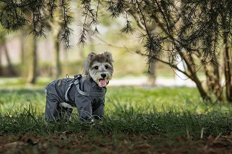 Dog Raincoat with Harness Waterproof Pet Rain Jacket for Small Dogs