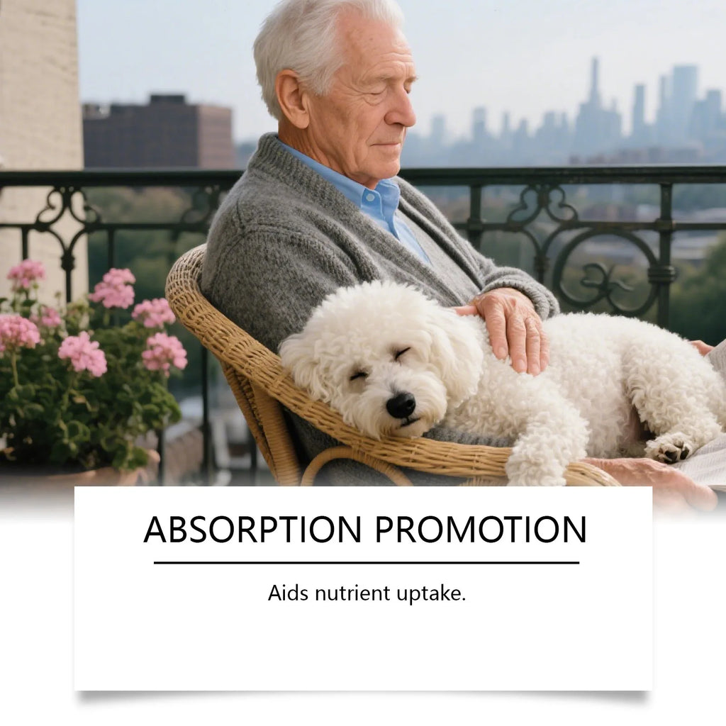 Kriath Dog Supplement Drops Promote Nutrient Absorption Improve Immune
