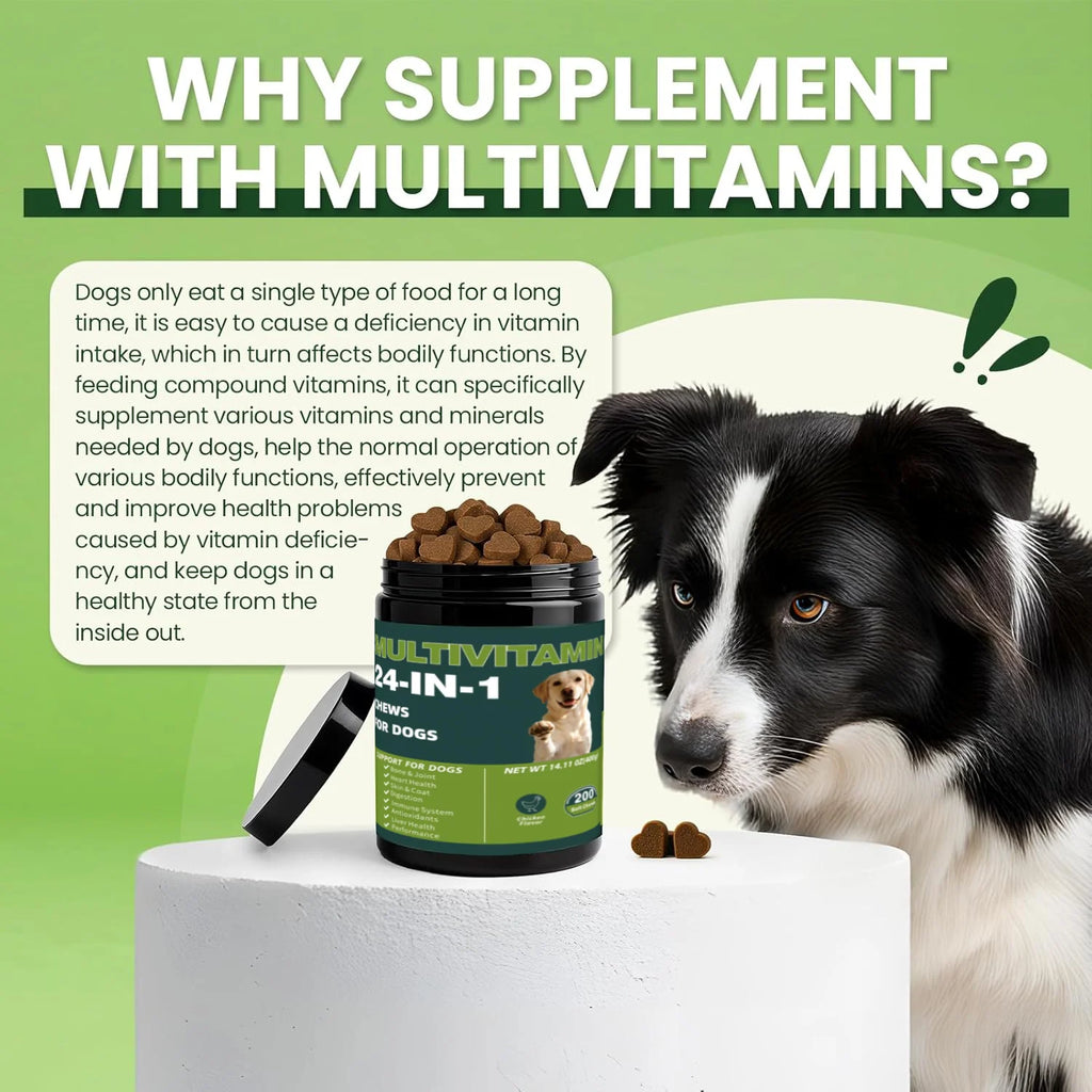 24-in-1 Dog Multivitamins Chew 200 Count Dog Vitamins Supplements