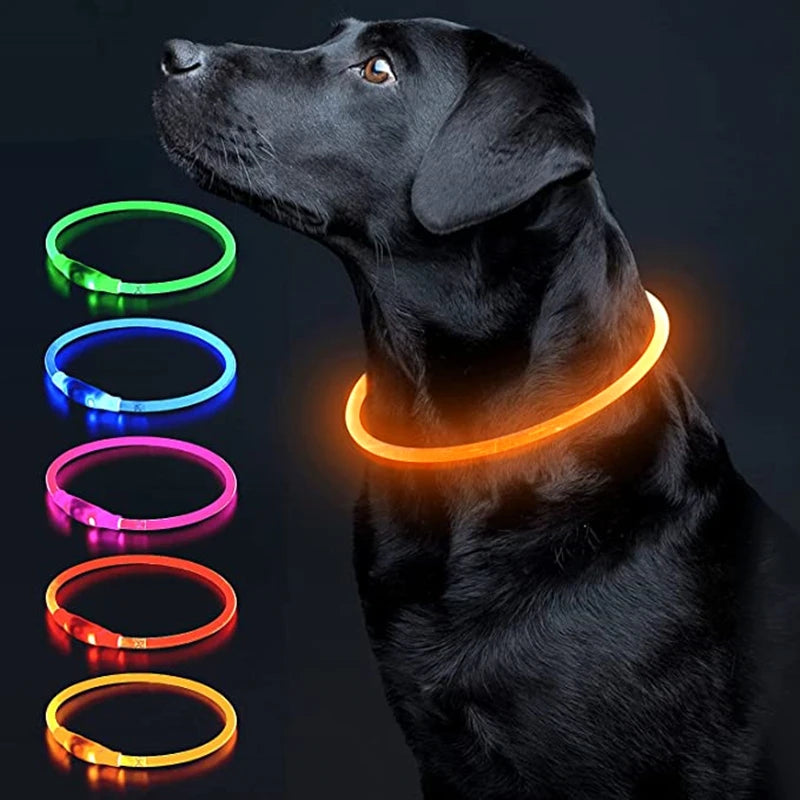 Luminous Dog Collar Light Charge Cat Necklace, Led Fashion Flashing DIY