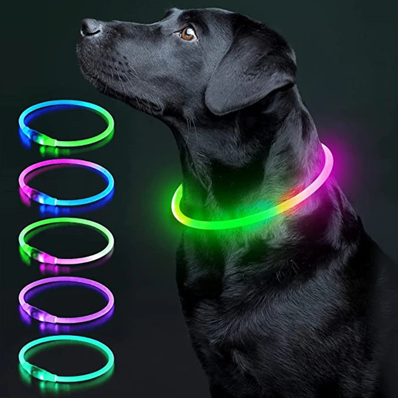 Luminous Dog Collar Light Charge Cat Necklace, Led Fashion Flashing DIY