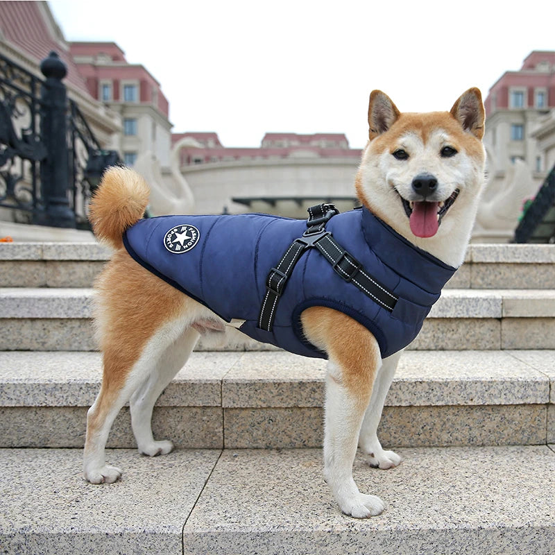 Waterproof Warm Dog Jacket Vest Winter Dog Clothes With Harness French-Bulldog