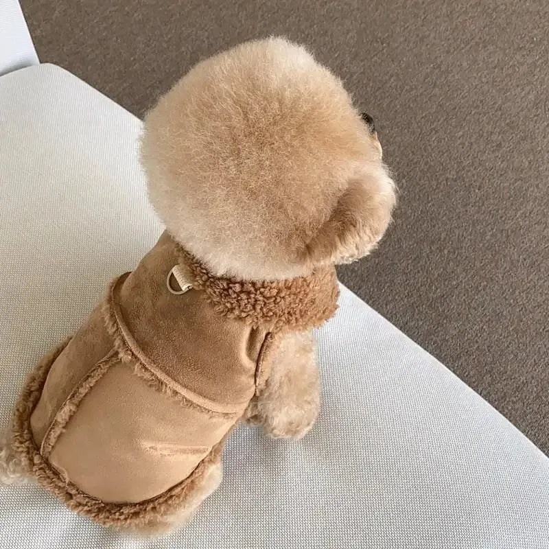 Dog Supplies Accessories Pets Acessorios Chihuahua Apparel Clothes