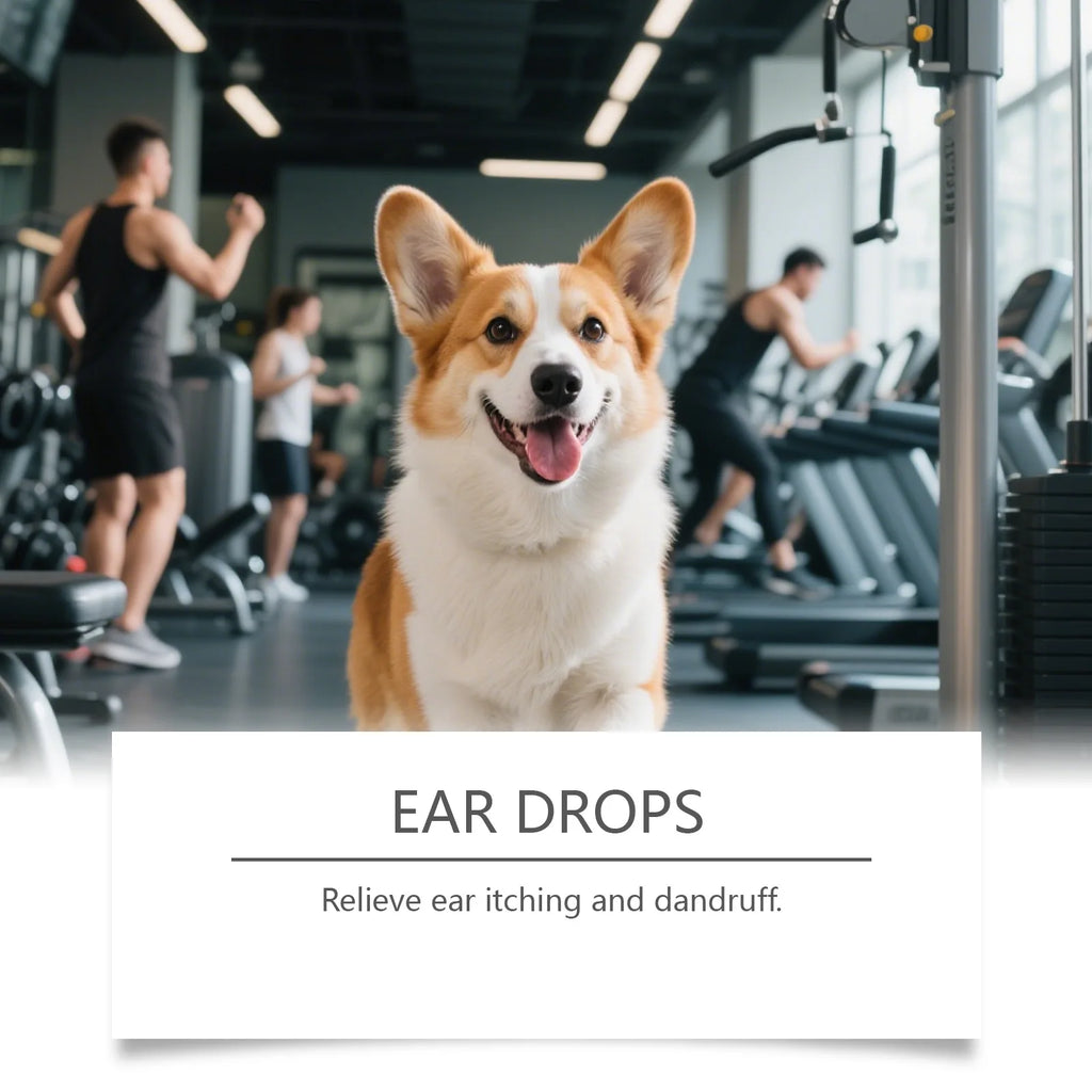 EelJoy Pet Ear Drops Dissolve Ear Wax Odor Remover Anti Itching Natural Non Irritating