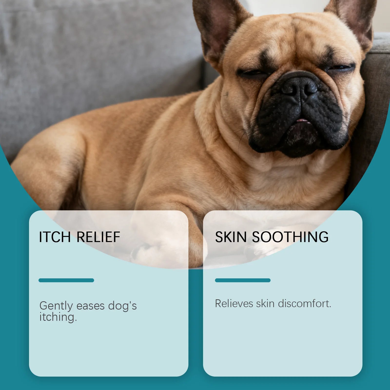 Anti Itch Spray for Dog Itch Relief Soothing Dog Skin Discomfort